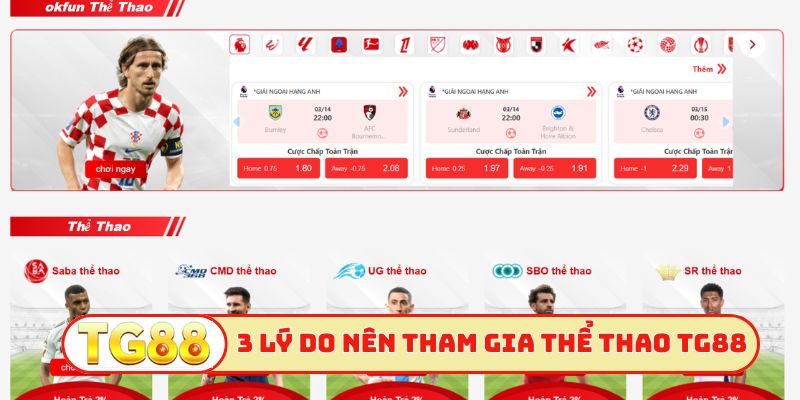 3 lý do nên tham gia thể thao TG88
