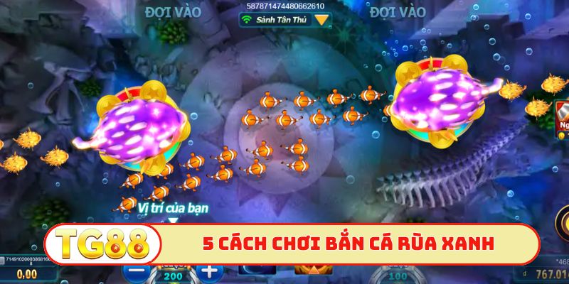 5 cách chơi bắn cá Rùa Xanh