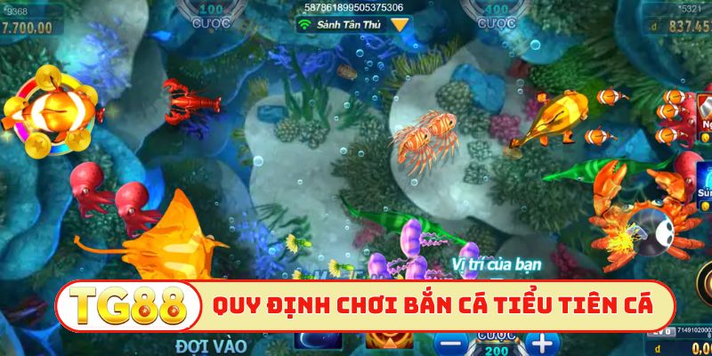 Quy định về cách chơi bắn cá tiểu tiên cá